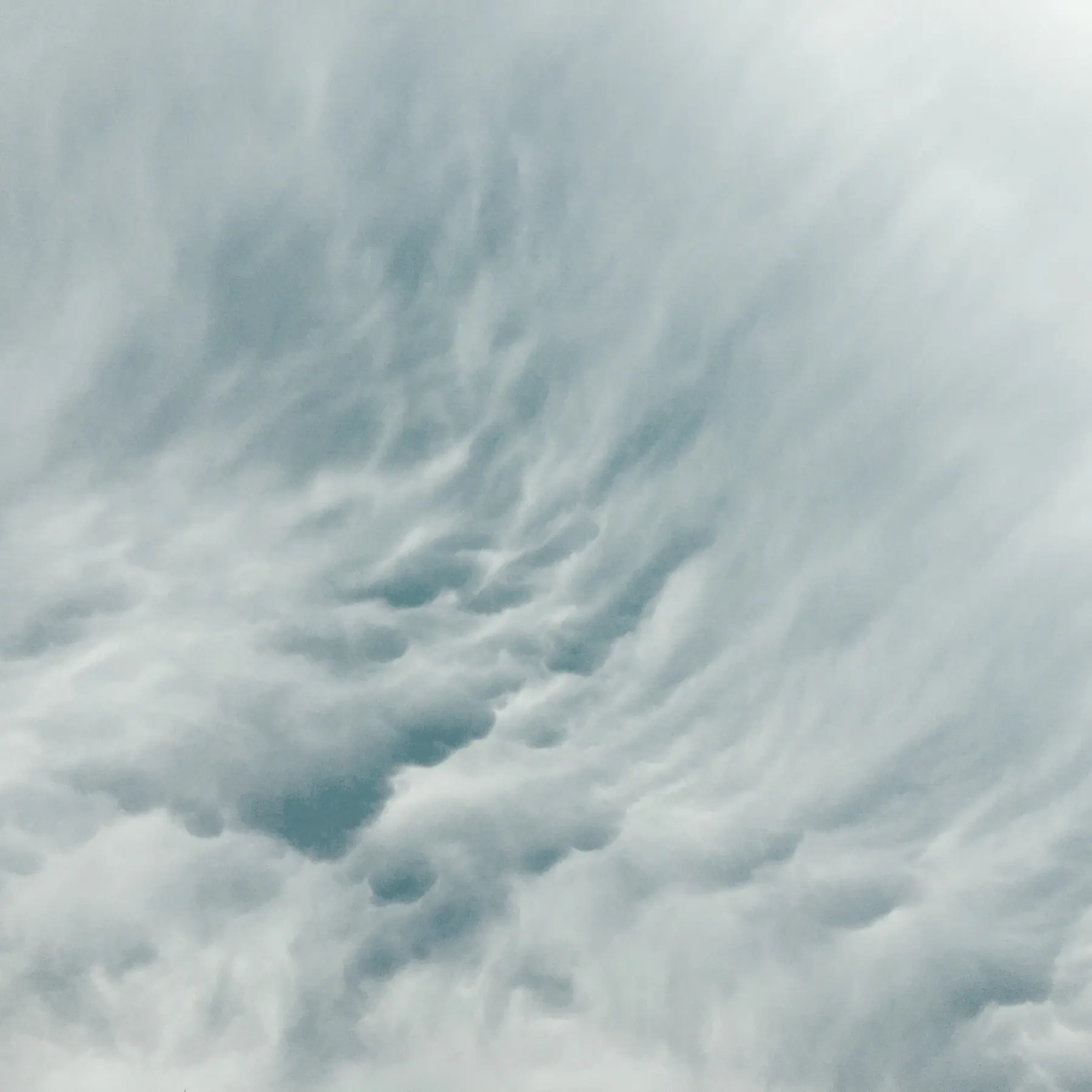 A wide bank of low, textured cloud.