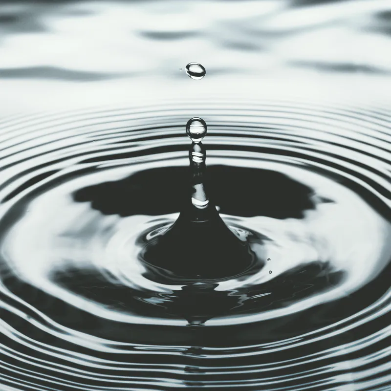 A single drop rebounding from still water, ringed by its own ripples.